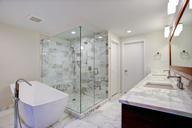 Modern Shower and Tub Area